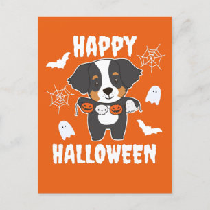 Bernese Mountain Dog Happy Halloween Dog Kostüm Feiertagspostkarte