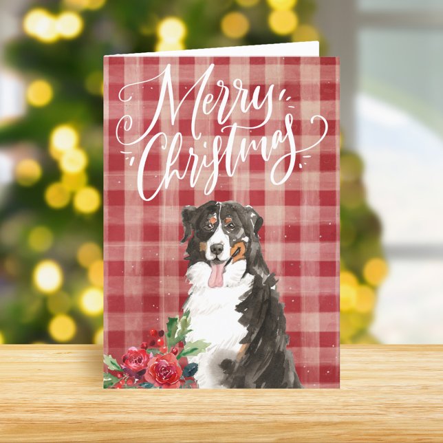 Bernese Mountain Dog Karierte Weihnachten (Von Creator hochgeladen)