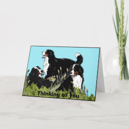 Bernese Mountain Dog Karte