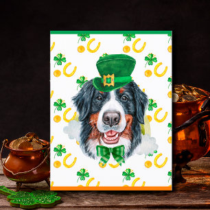 Bernese Mountain Dog Kleeblatt St. Patricks Day Feiertagspostkarte