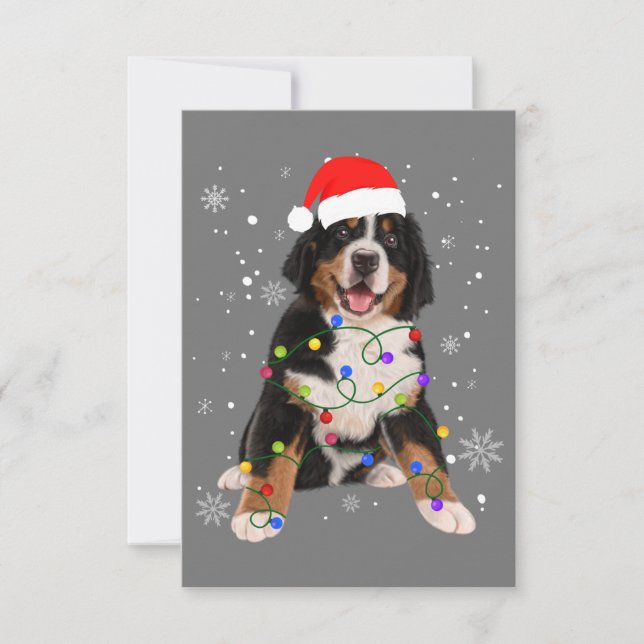 Bernese Mountain Dog Lights Weihnachtsmatte Dankeskarte (Vorderseite)