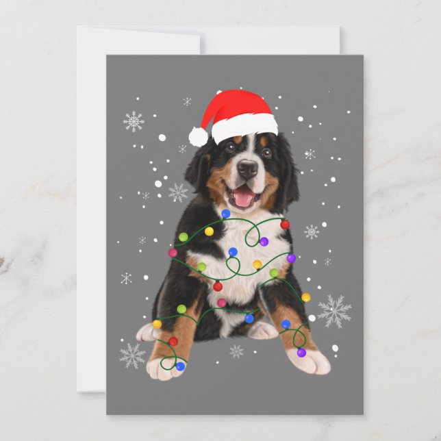 Bernese Mountain Dog Lights Weihnachtsmatte Einladung (Vorderseite)