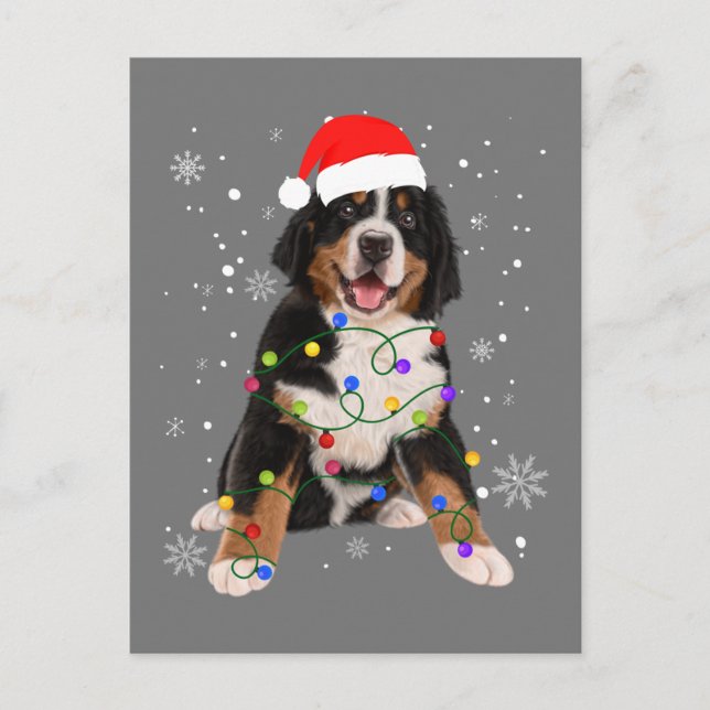 Bernese Mountain Dog Lights Weihnachtsmatte Postkarte (Vorderseite)