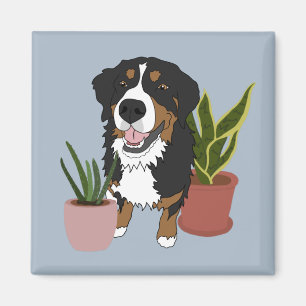 Bernese Mountain Dog Magnet