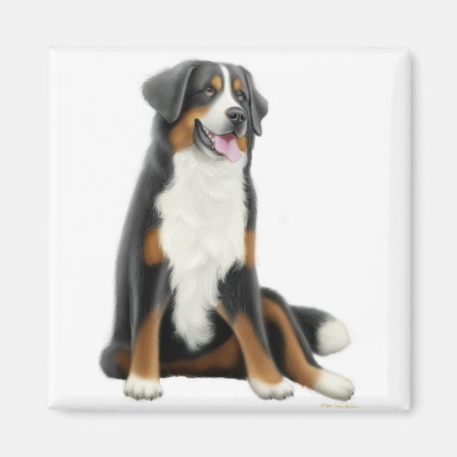 Bernese Mountain Dog Magnet (Vorne)