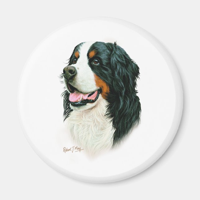 Bernese Mountain Dog Magnet (Vorne)