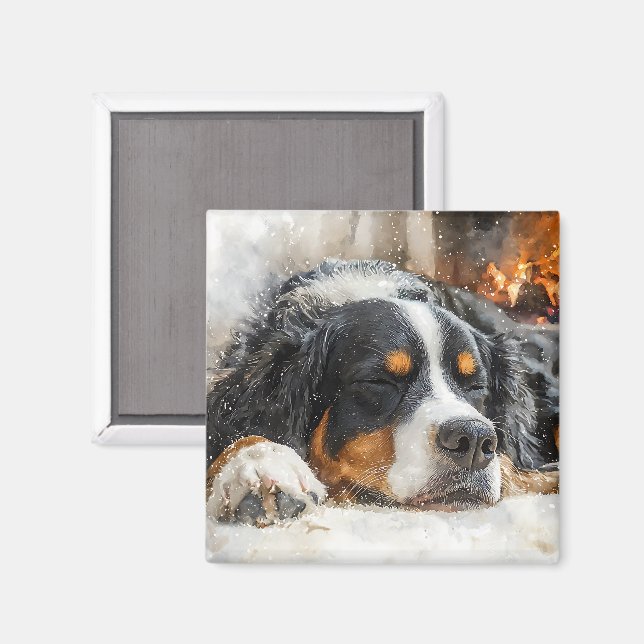 Bernese Mountain Dog Magnet (Vorderseite/Rückseite)