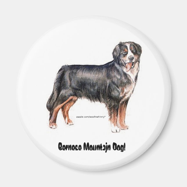Bernese Mountain Dog Magnet (Vorne)