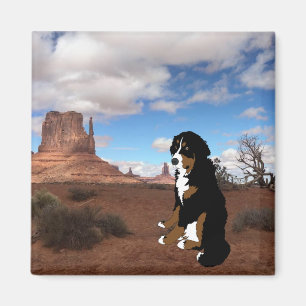 Bernese Mountain Dog Monument Valley Magnet