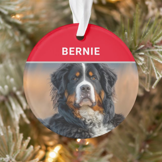 Bernese Mountain Dog Name und Foto Weihnachten Ornament (Baum)