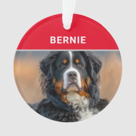 Bernese Mountain Dog Name und Foto Weihnachten Ornament