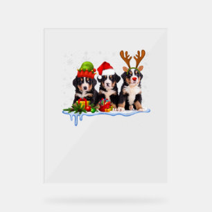Bernese Mountain Dog Niedlich Acrylschild