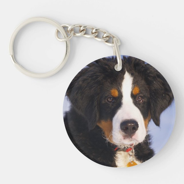 Bernese Mountain Dog - Niedliches Welpe-Foto Schlüsselanhänger (Vorderseite)