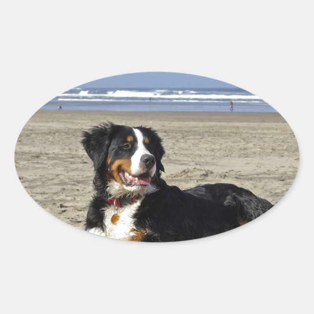 Bernese Mountain Dog Ovaler Aufkleber (Vorderseite)