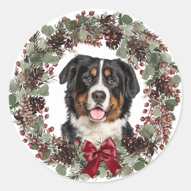 Bernese Mountain Dog Pinecone Wraath Runder Aufkleber (Vorderseite)