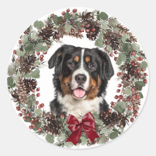 Bernese Mountain Dog Pinecone Wraath Runder Aufkleber