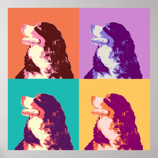 Bernese Mountain Dog Pop Poster (Vorne)
