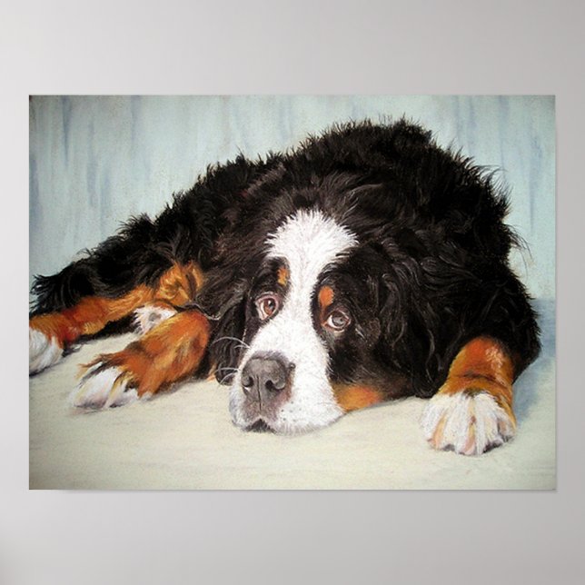 Bernese Mountain Dog Portrait Poster Print (Vorne)