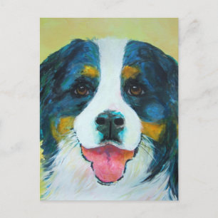 Bernese Mountain Dog Postkarte