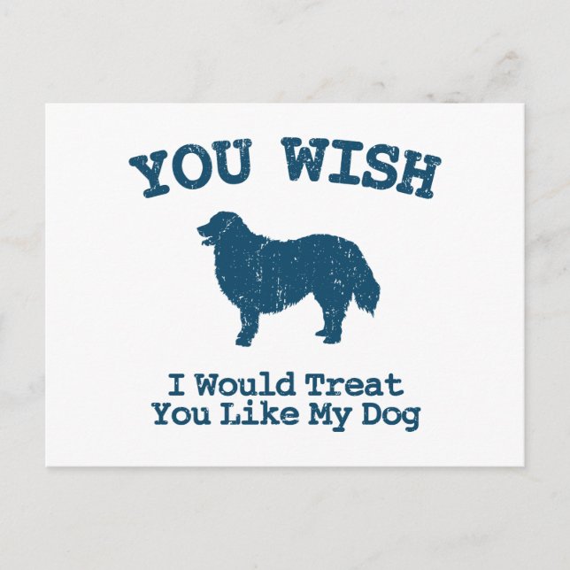 Bernese Mountain Dog Postkarte (Vorderseite)