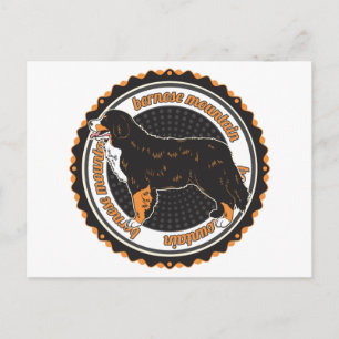 Bernese Mountain Dog Postkarte