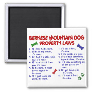 BERNESE MOUNTAIN DOG Property Laws 2 Magnet