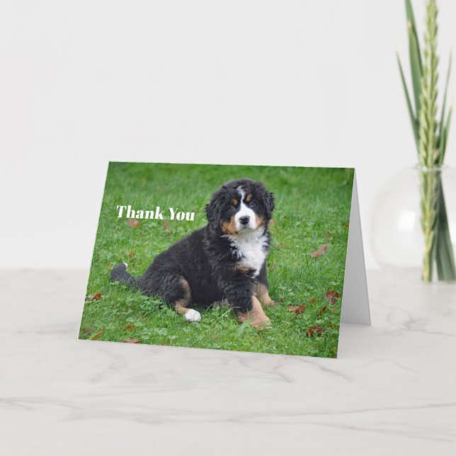 Bernese Mountain Dog Puppy Foto Dankeskarte (Vorderseite)