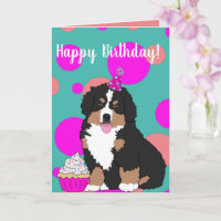 Bernese Mountain Dog Puppy