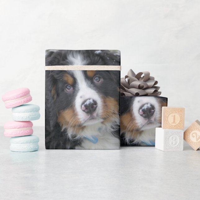 Bernese Mountain Dog Puppy Second Geschenkpapier (Babyparty)