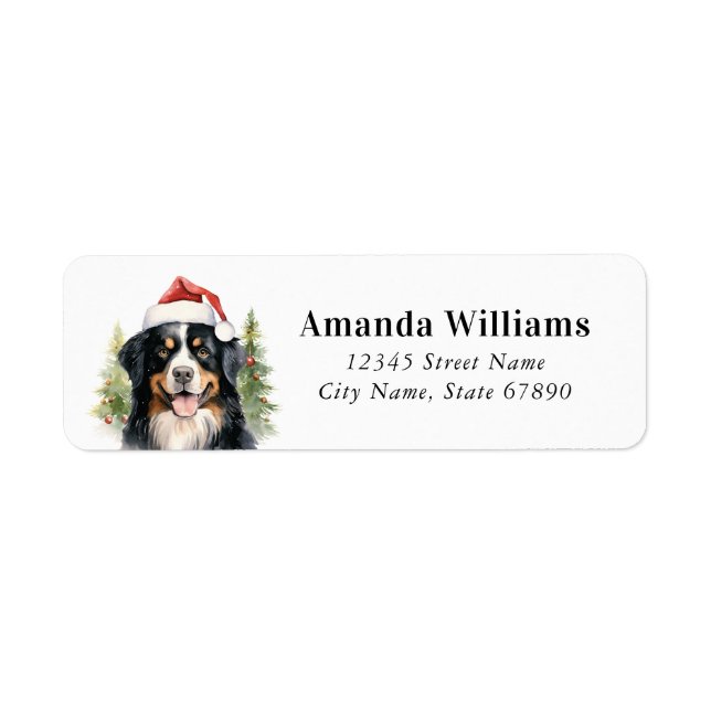 Bernese Mountain Dog Rücksendeadressen-Aufkleber (Vorne)