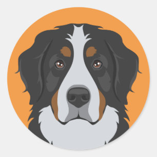 Bernese Mountain Dog Runder Aufkleber