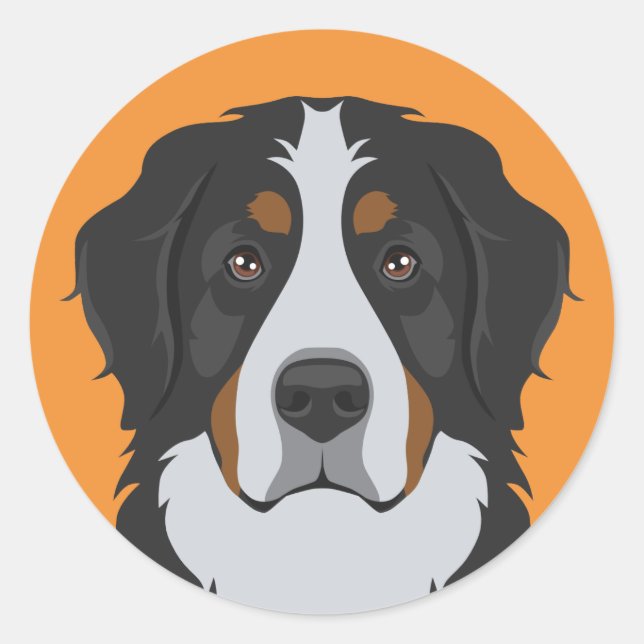 Bernese Mountain Dog Runder Aufkleber (Vorderseite)