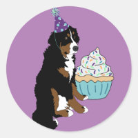 Bernese Mountain Dog
