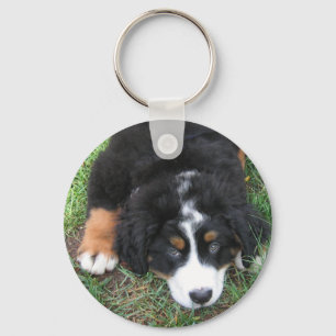 Bernese Mountain Dog Schlüsselanhänger