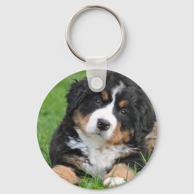 Bernese Mountain Dog Schlüsselanhänger (Vorderseite)