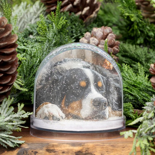 Bernese Mountain Dog Schneekugeln (Winter)