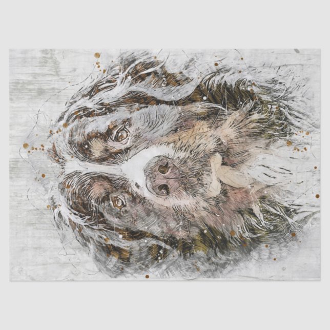 Bernese Mountain Dog Seidenpapier (Vorderseite)