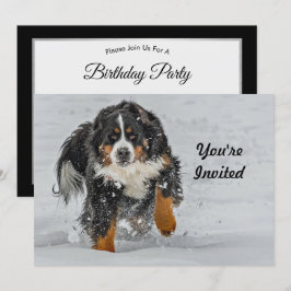 Bernese Mountain Dog Snow Foto Geburtstag Einladung