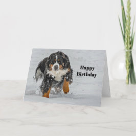 Bernese Mountain Dog Snow Foto Geburtstag Karte