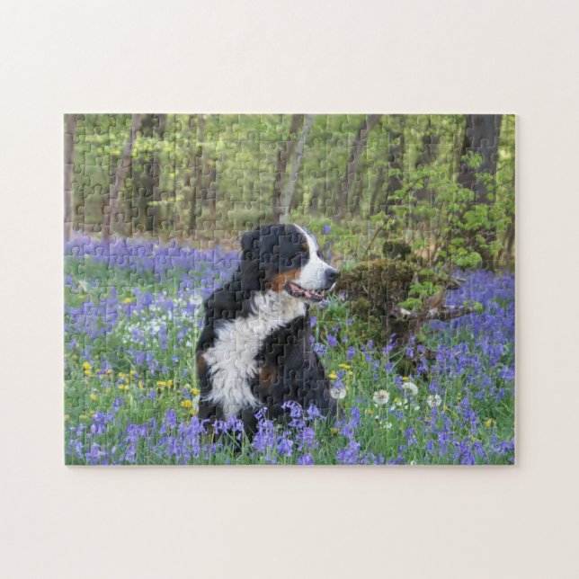 Bernese Mountain Dog Spring Woodland (Horizontal)