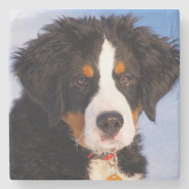 Bernese Mountain Dog Steinuntersetzer