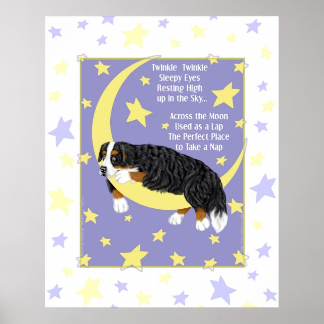 Bernese Mountain Dog Twinkle Poster (Vorne)