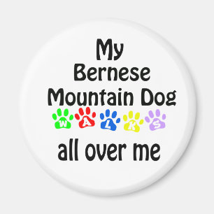 Bernese Mountain Dog Walks Design Magnet
