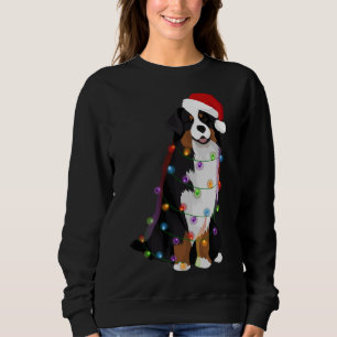 Bernese Mountain Dog Weihnachtslicht Xmas Dog Lov Sweatshirt