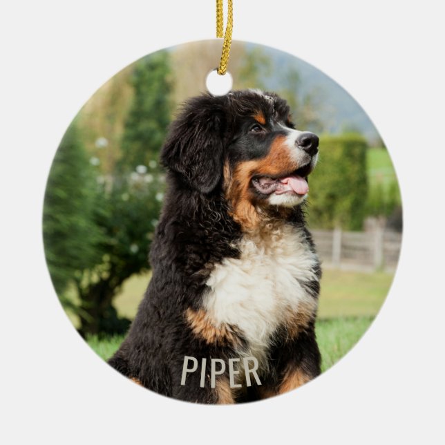 Bernese Mountain Dog Weihnachtsschmuck (Vorne)