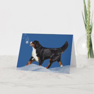 Bernese Mountain Dog Winter Holiday Card Feiertagskarte