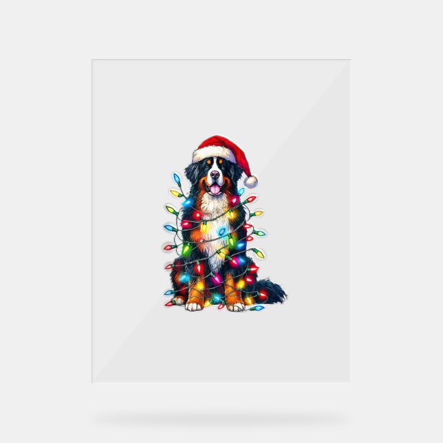 Bernese Mountain Dog x Christmas Lights Acrylschild (Vorderseite)