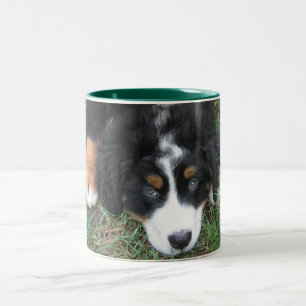 Bernese Mountain Dog Zweifarbige Tasse