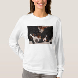 Bernese Mountain Dogs Head T_Shirt T-Shirt