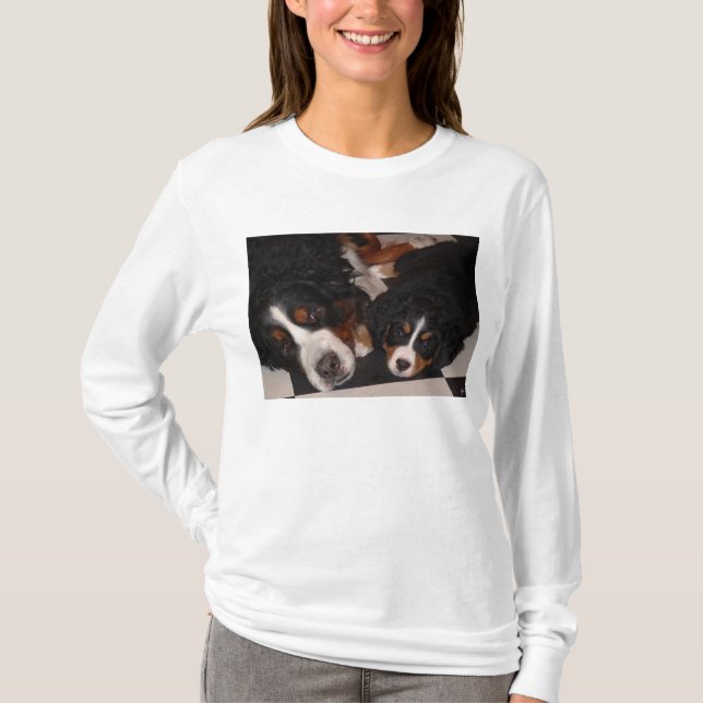 Bernese Mountain Dogs Head T_Shirt T-Shirt (Vorderseite)